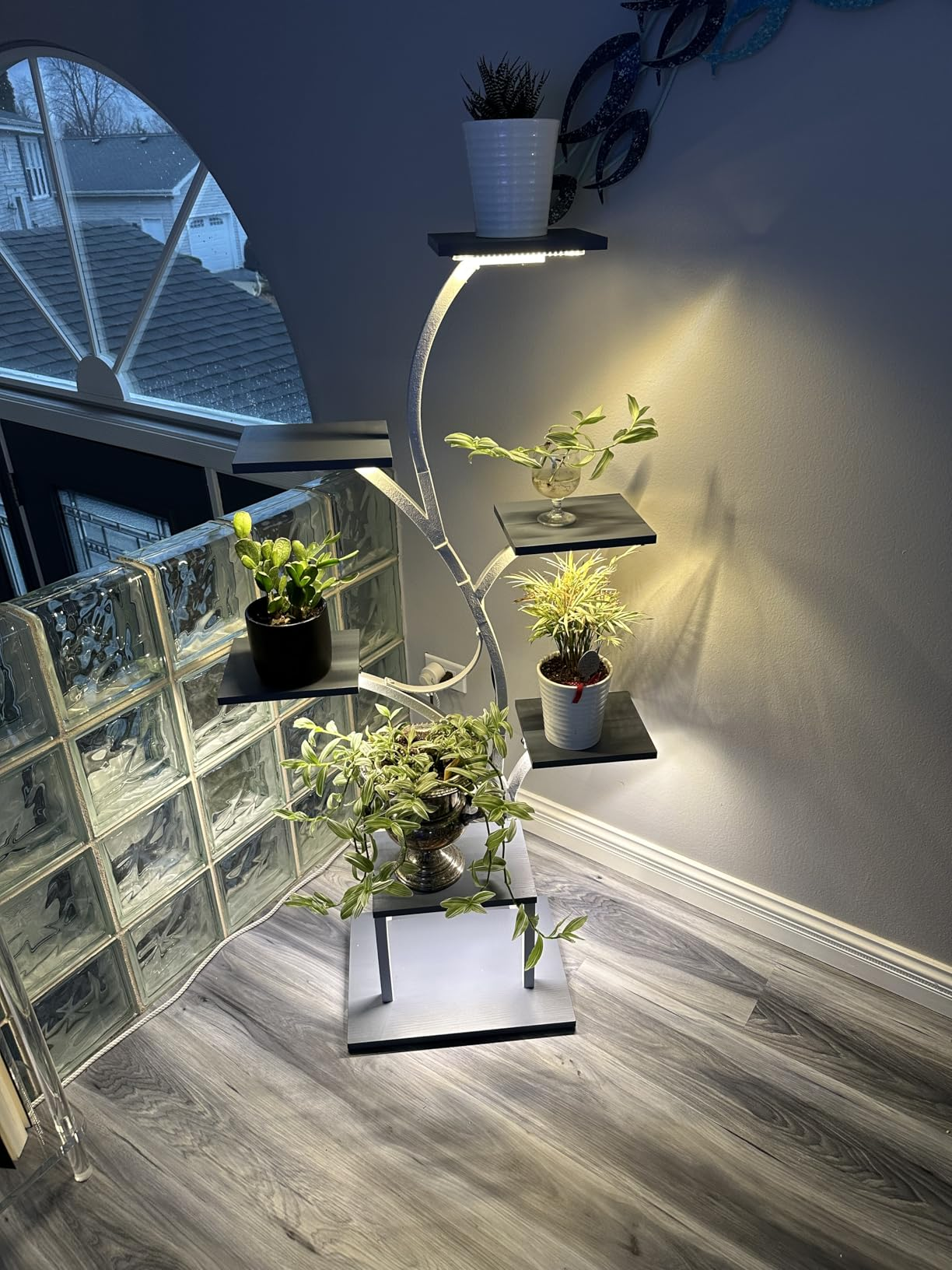 LumiPlant naast een helder raam