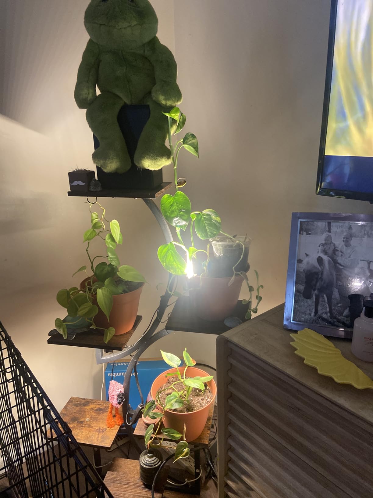 LumiPlant™ LED Plantenstandaard met 7 Niveaus