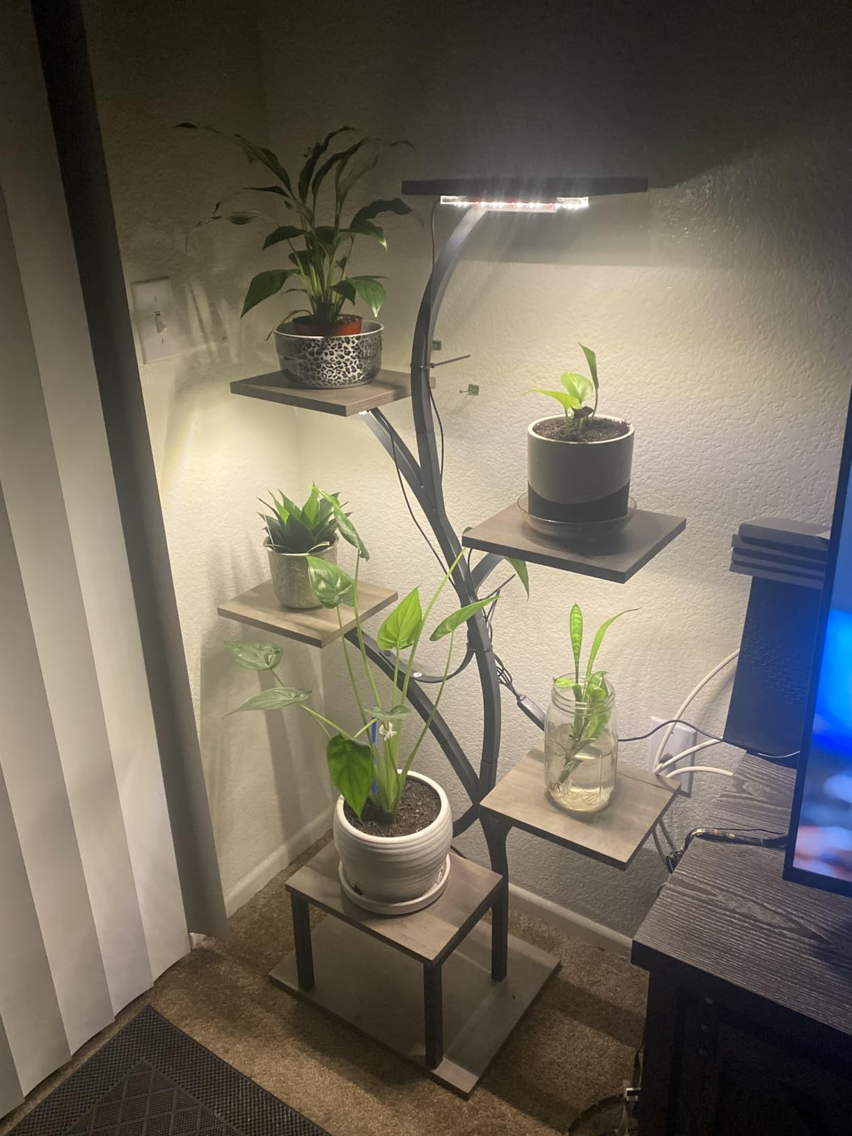 LumiPlant in een woonkamer