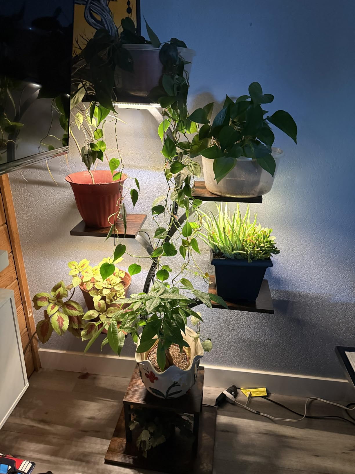 LumiPlant display met meerdere potten